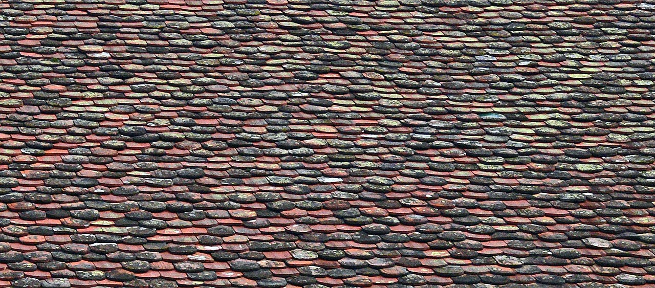 Damaged asphalt shingle roof