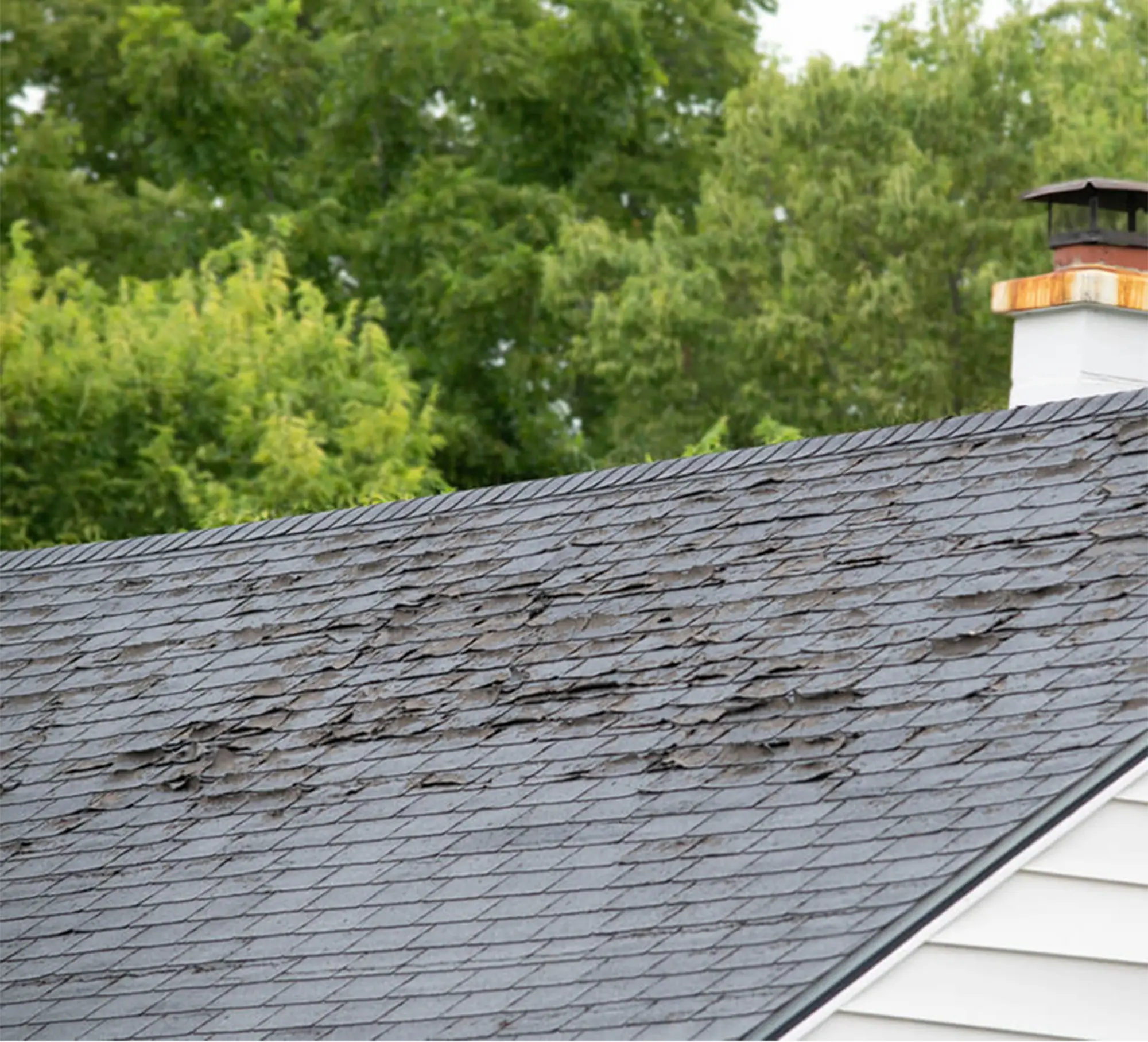 Asphalt Roof