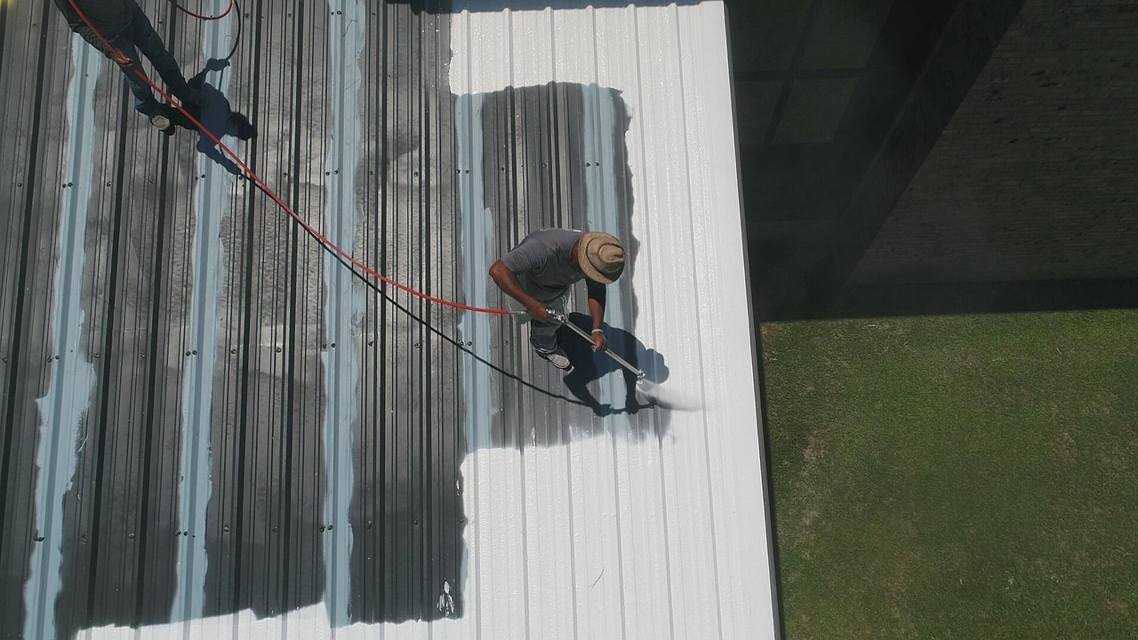 Metal Roof Painting
